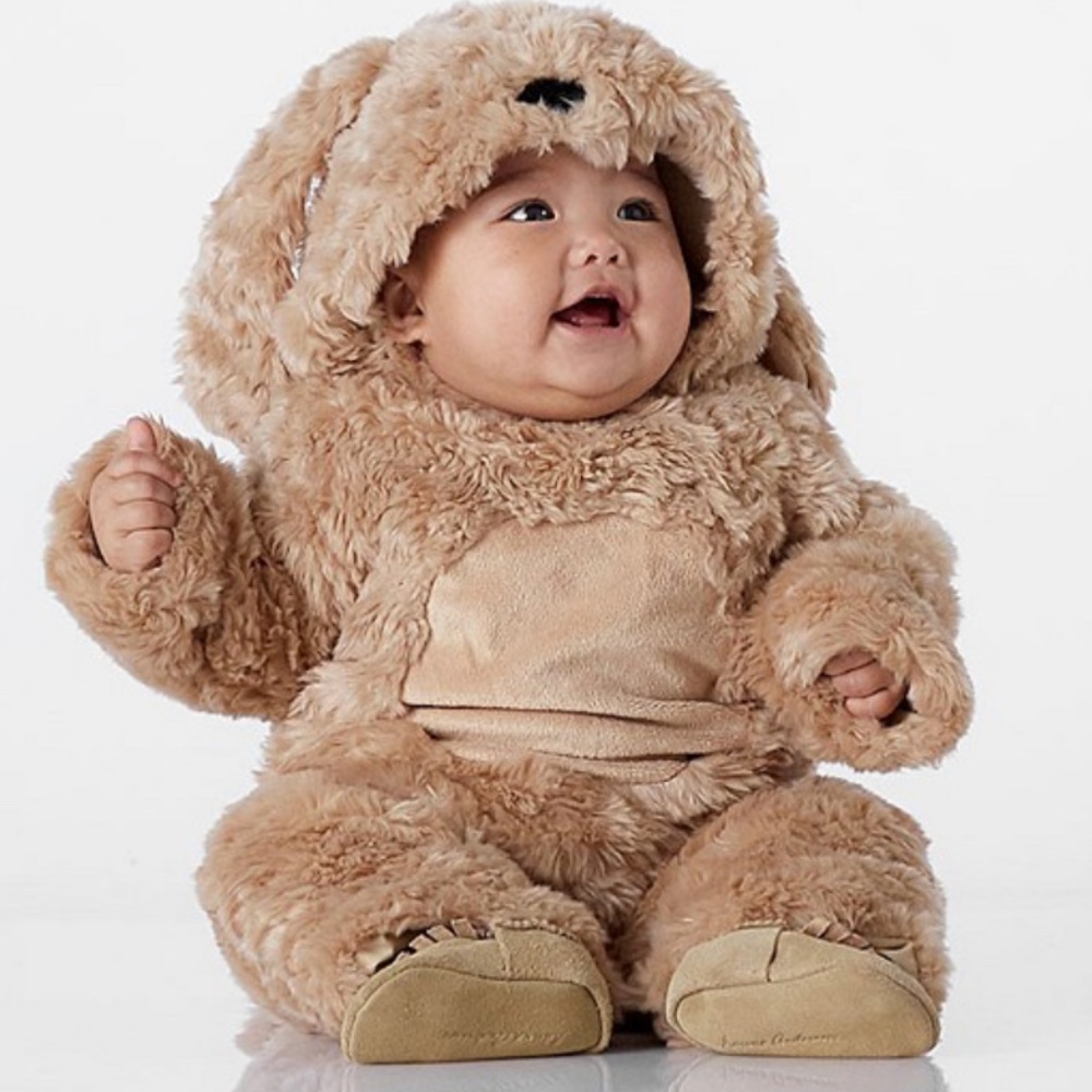 Pottery Barn Kids Baby Dog Costume
